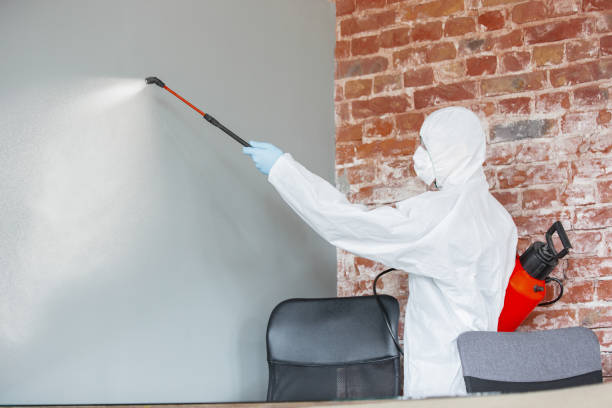 Best Mold Prevention Services  in Savanna, IL