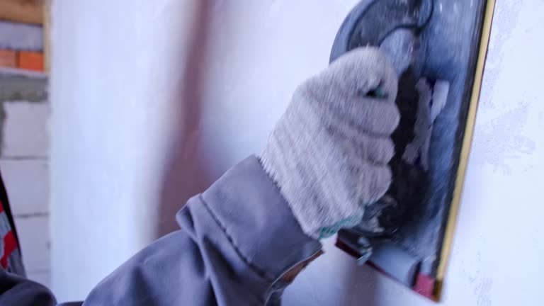 Best Mold Remediation for Healthcare Facilities  in Savanna, IL