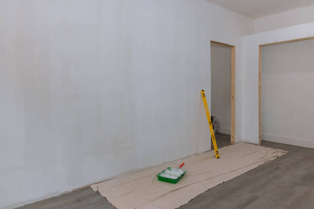 Best Mold Prevention Services  in Savanna, IL
