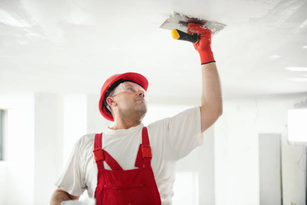 Best Attic Mold Removal  in Savanna, IL