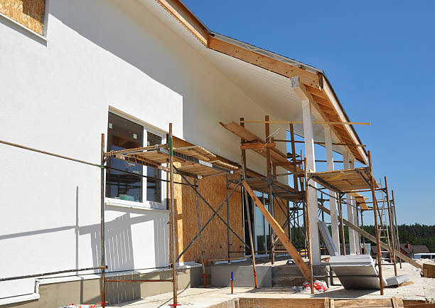 Professional Mold Removal in Savanna, IL
